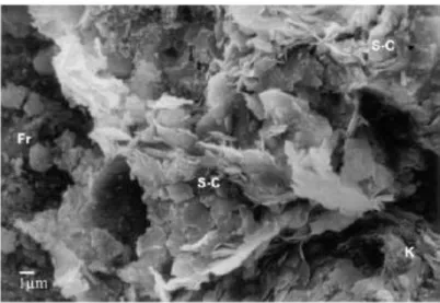 Gambar II. 6 Foto mikroskop lempung Smektit-Klorit (S-C) dengan beberapa Kolinit (K) dipojok  kanan bawah dan Fragmen (Fr)