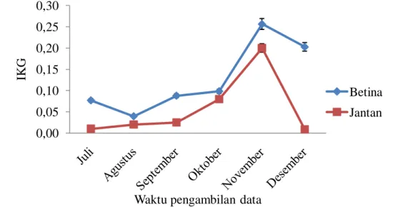 Gambar 6 Indeks kematangan gonad ikan keting betina dan jantan TKG IV 