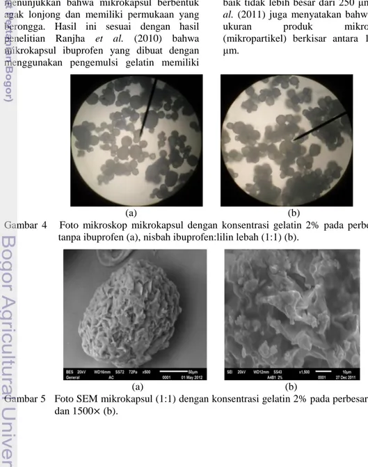 Gambar  4      Foto  mikroskop  mikrokapsul  dengan  konsentrasi  gelatin  2%  pada  perbesaran  40 :  tanpa ibuprofen (a), nisbah ibuprofen:lilin lebah (1:1) (b)