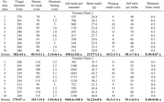 Tabel 10 Rata-rata dan simpangan baku keragaan tanaman lada varietas Natar 1  dan Natar 2 di Abung Barat 