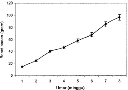 Gambar  16.  Grafik pertambahan  relrdifbobot  badan anak  burung  maleo  selama  8  minggu  pertama