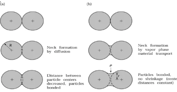 Gambar 2.7 Skema proses sintering serbuk logam  (a). Solid-state (b) Liquid-phase material 