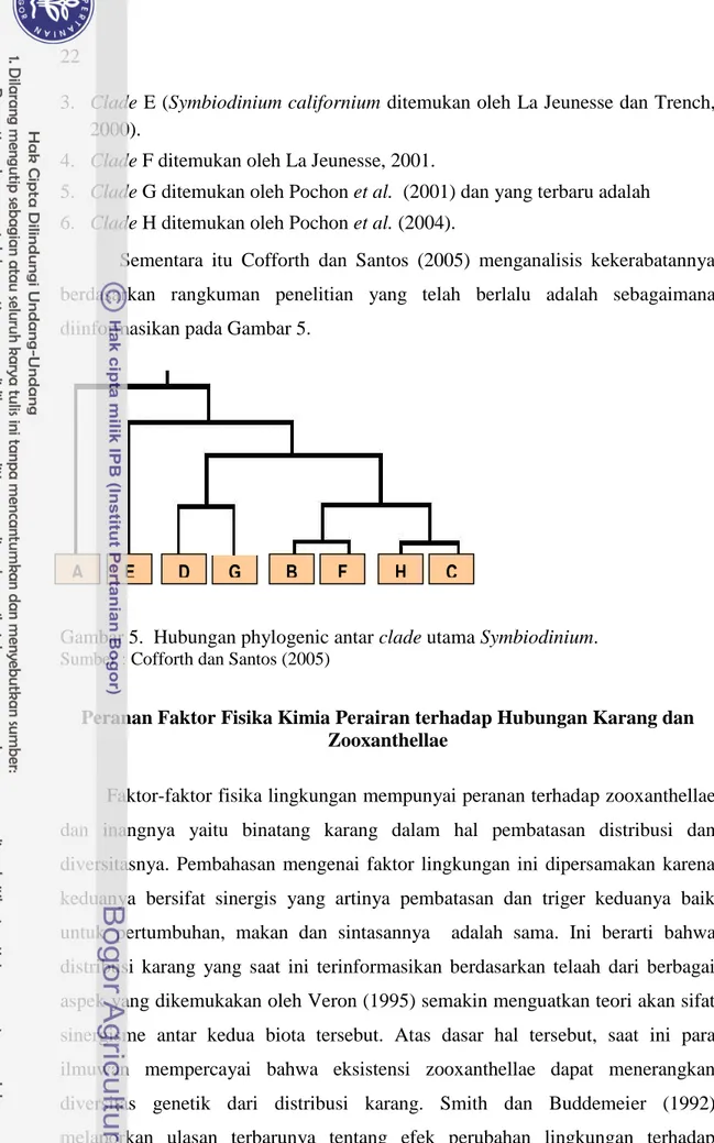 Gambar 5.  Hubungan phylogenic antar clade utama Symbiodinium. 