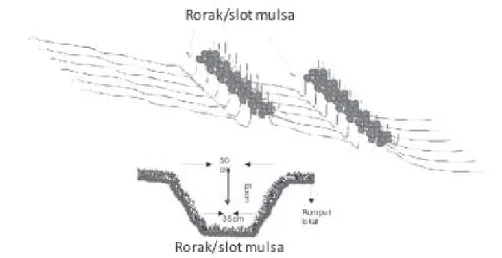 Gambar 9.  Ilustrasi  penampang rorak/slot mulsa.