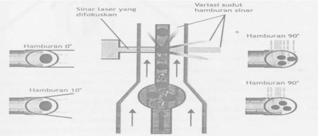 Gambar  2.  Ilustrasi  sudut  hamburan  cahaya  pada  metode  flowcytometry  (Mengko R., 2013)