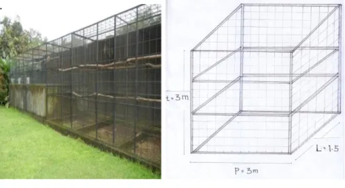 Gambar  1  a) Kandang   permanen  dan b) Sketsa kandang   