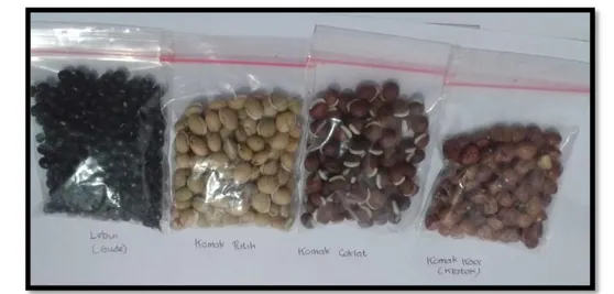 Gambar 1. Morfologi Biji Kacang-kacangan Lokal (Kiri-Kanan: Lebui/Gude, Komak Putih,  Komak Cokelat, Komak Kace/Kratok)