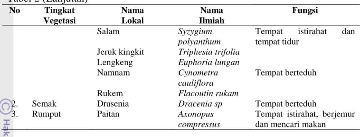 Tabel 2 (Lanjutan)  No  Tingkat  Vegetasi  Nama Lokal  Nama  Ilmiah  Fungsi  Salam  Syzygium  polyanthum 