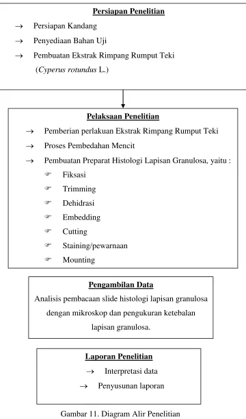 Gambar 11. Diagram Alir Penelitian 