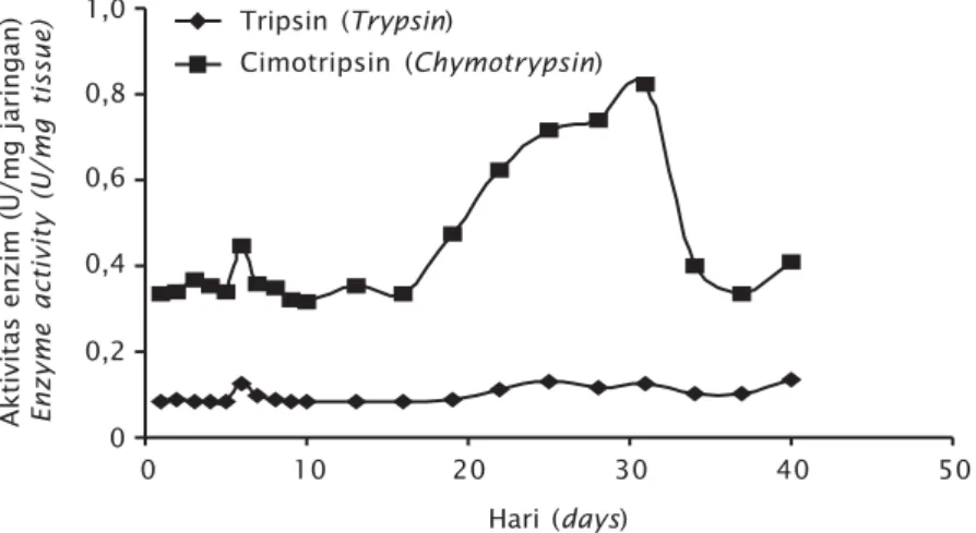 Figure 6. Combination of trypsin and chymotrypsin enzyme activity during rearing of humpback grouper larvae