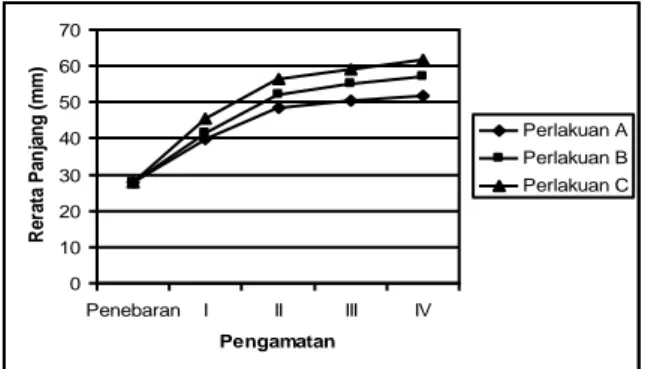 Tabel  2  menunjukan  pertambahan  panjang  baku  ikan  uji  pada  perlakuan  C  (33,6)  lebih  tinggi  dibandingkan  dengan  perlakuan  A  (23,86)  dan      B  (29,13),  dan  perlakuan  B  lebih  tinggi  dibanding  dengan  perlakuan  A,  sebagaimana disaj