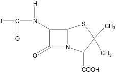 Gambar 1  Struktur kimia inti penisilin (asam 6- aminopenisilinat).  