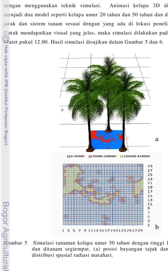 Gambar  5      Simulasi  tanaman  kelapa  umur  50  tahun  dengan  tinggi  15  m  dan  ditanam  segiempat