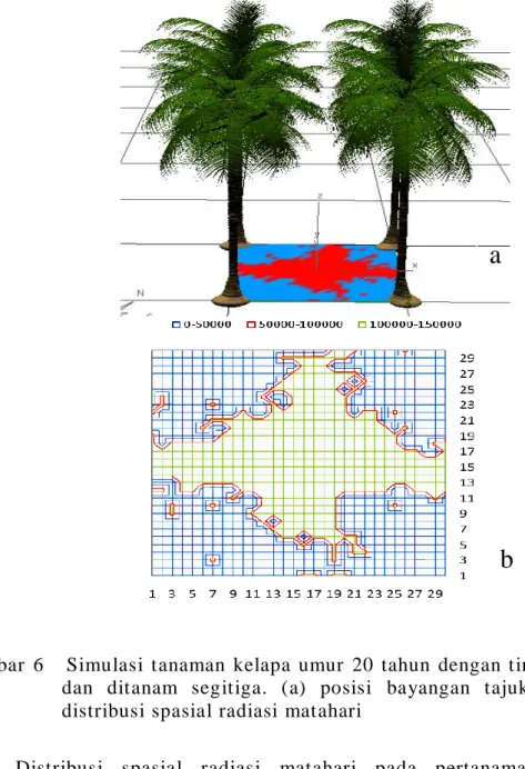 Gambar  6      Simulasi  tanaman  kelapa  umur  20  tahun  dengan  tinggi  12  m  dan  ditanam  segitiga