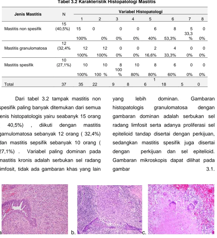 Tabel 3.2 Karakteristik Histopatologi Mastitis 