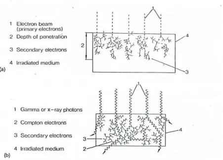 Gambar 8.  Interaksi radiasi dengan materi a) Radiasi elektron; 
