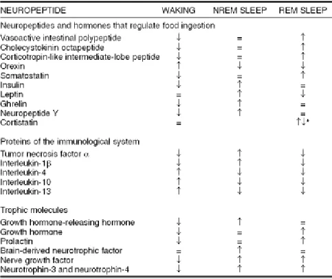 Tabel 1: Neuropeptida dan siklus tidur-bangun 