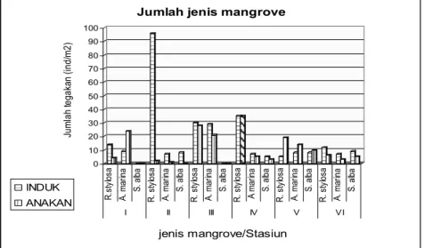 Gambar 1.  Jumlah jenis mangrove yang ditemukan di Pantai Biringkassi