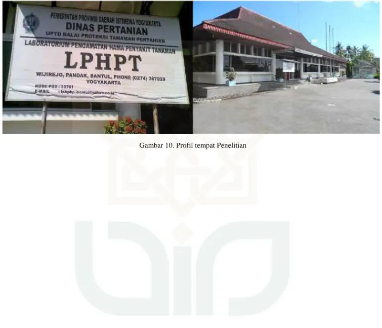 Gambar 10. Profil tempat Penelitian