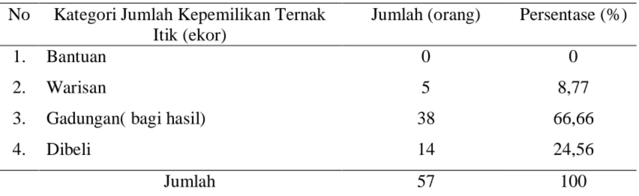 Tabel  7. Kepemilikan Ternak Itik Berdasakan Karakteristik Narasumber  No  Kategori Jumlah Kepemilikan Ternak 