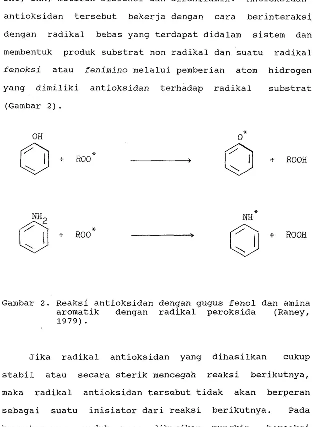 Gambar  2.  Reaksi antioksidan dengan gugus fen01 dan amina  aromatik  dengan  radikal  peroksida  (Raney,  1979)