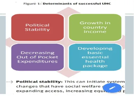 Gambar 6.  Determinant of successful UHC