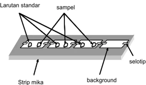 Gambar 4 Skema yang menunjukan metode  jejak fisi yang digunakan untuk penentuan 