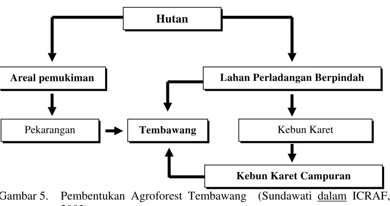 Gambar 5.  Pembentukan Agroforest Tembawang  (Sundawati dalam ICRAF, 