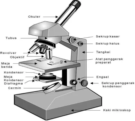 Gambar 2.1 Komponen Mikroskope  (Pustekkom Depdiknas 2009) 