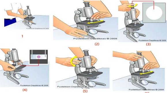 Gambar 2.2 Cara Pengoprasian Mikroskope   (Pustekkom Depdiknas 2009) 