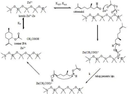 Gambar 3. Usulan mekanisme siklisasi-asetilasi (R)-(+)-sitronelal dengan anhidrida asam asetat  terkatalis Zn 2+ -Za 