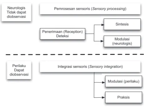 Gambar 1.  Proses integrasi sensoris di otak (neurologis) dan perilaku. 8 Gambar 1. Proses integrasi sensoris di otak (neurologis) dan perilaku