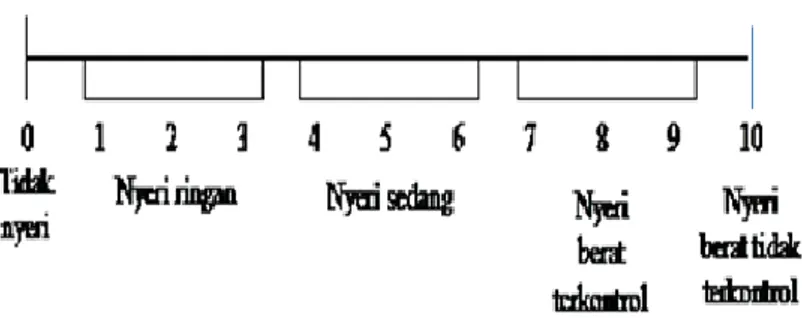Gambar 2.1  Skala Nyeri Verbal Descriptor Scale ( VDS ) 