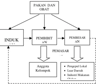 Gambar 1. Supply Chain Klaster Ikan  Kabupaten Sragen 