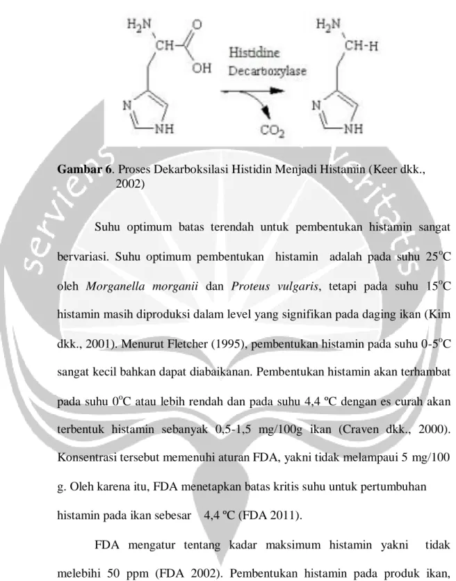 Gambar 6. Proses Dekarboksilasi Histidin Menjadi Histamin (Keer dkk.,  2002) 