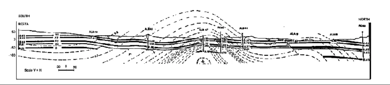 Gambar 4. Penampang sebaran batubara dan kualitas di Tambang Air Laya (Pujobroto, 1997; Pujobroto dan  Hutton, 2000) 