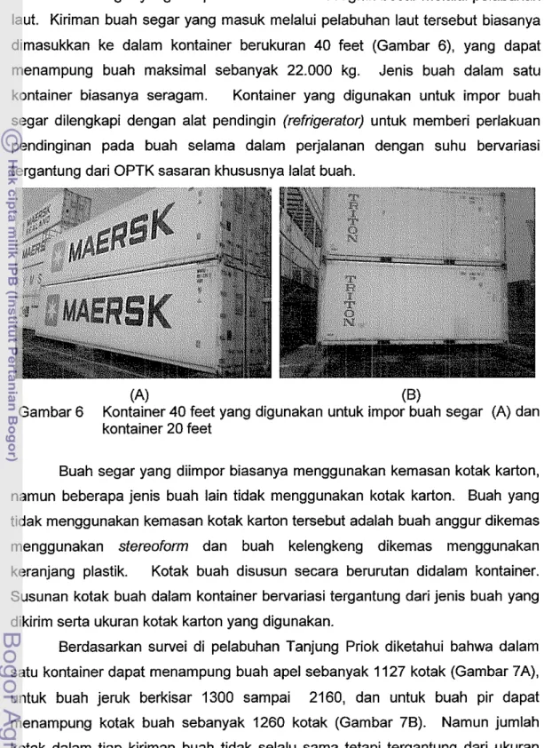 Gambar 6  Kontainer 40 feet yang digunakan untuk impor buah segar  (A) dan  kontainer 20 feet 