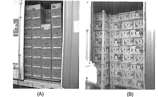 Gambar 7  Susunan kotak buah ape1 (A) dan buah pir (B) di dalam Kontainer 