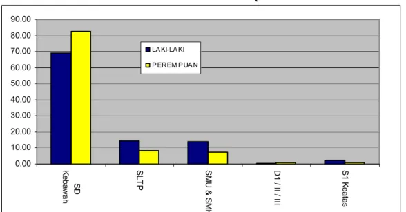 Gambar  2.2  :    Persentase  Penduduk  Yang  Bekerja  Dirinci  Menurut  Tingkat    Pendidikan dan Jenis Kelamin di Provinsi Irian Jaya Barat Tahun 2005 