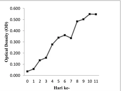 Gambar 1. Pertumbuhan Mikroalga Spirulina plantensis dengan Media Walne  selama 11 hari 