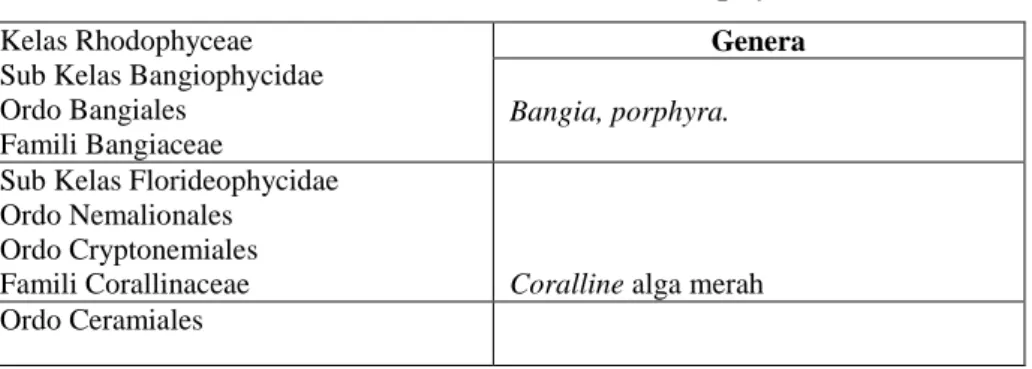 Tabel 2.2 Klasifikasi Divisi Rhodophyta 