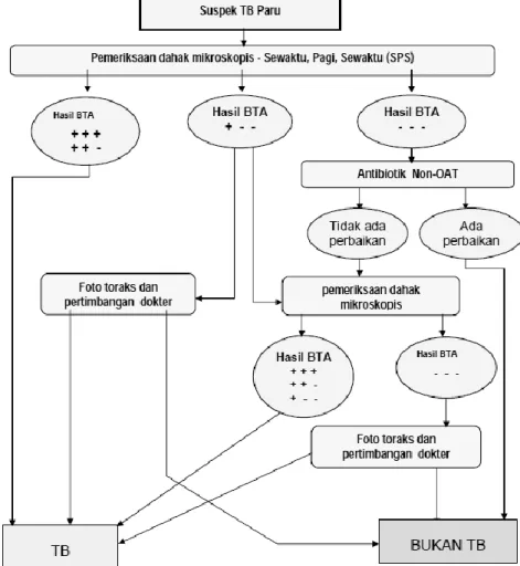 Gambar 2.2. Skema alur diagnosis TB paru pada orang dewasa 