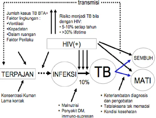 Gambar 2.1. Faktor risiko TB 