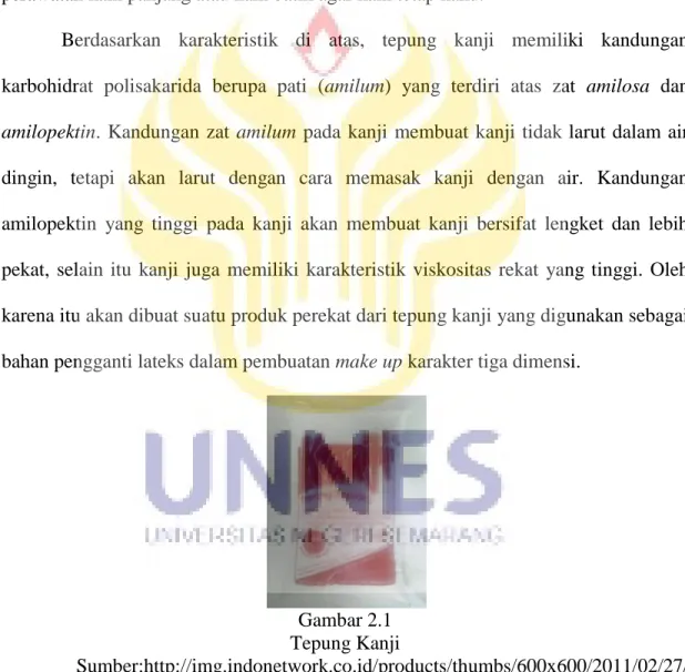 Gambar 2.1  Tepung Kanji 