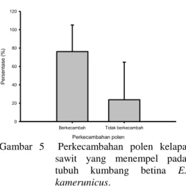 Gambar  4    Polen  kelapa  sawit  yang  menempel  antara  kepala  dan  toraks  E.  kamerunicus  betina  (dengan  SEM)