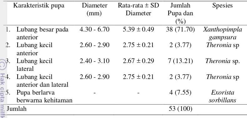 Tabel 2 Karakteristik pupa yang terinfestasi parasitoid yang diambil dari perkebunan teh di wilayah Kabupaten Purwakarta pada tahun 2013 
