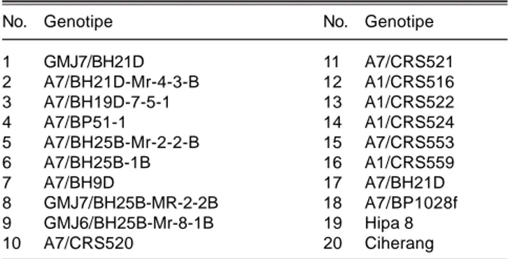 Tabel 1. Calon padi hibrida dan varietas pembanding pada uji daya hasil lanjutan. Cilacap dan Malang, MH 2013.