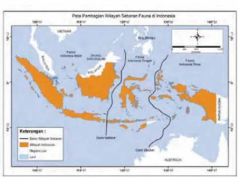 Gambar 1.17 Pembagian wilayah sebaran fauna di Indonesia.