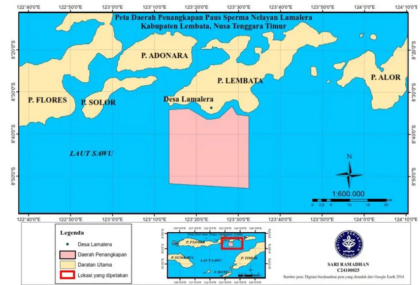 Gambar 5 Peta daerah penangkapan paus sperma (Physeter macrocephalus) di Perairan Lamalera