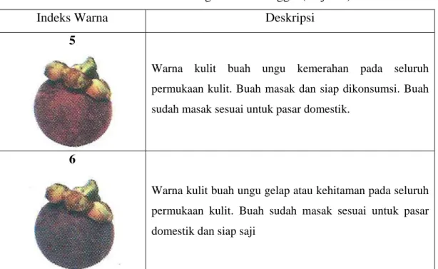 Tabel 3. Indeks kematangan buah manggis (lanjutan). 